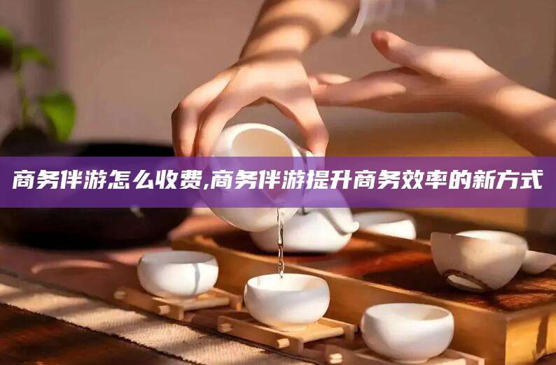 迪庆商务伴游怎么收费,商务伴游提升商务效率的新方式